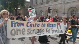 Egypt solidarity activists link up with Palestine protests