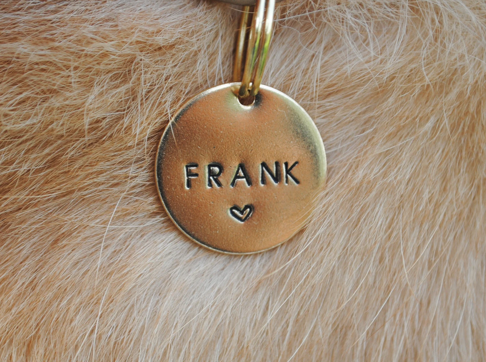 Heart Hand Stamped Dog Tag