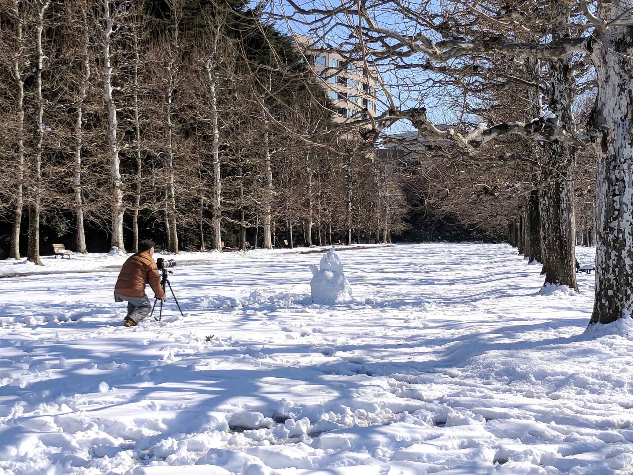 Japan January Part One Tokyo Snow And Skiing Sally Lait