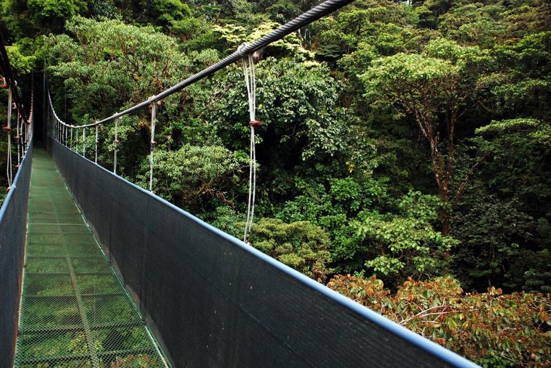 Sky Walk Costa Rica suspension bridges