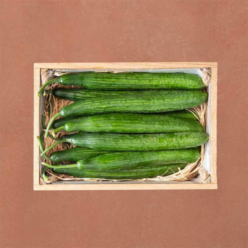 Greek-Grocery-Greek-Products-veg-box-cucumber-3kg