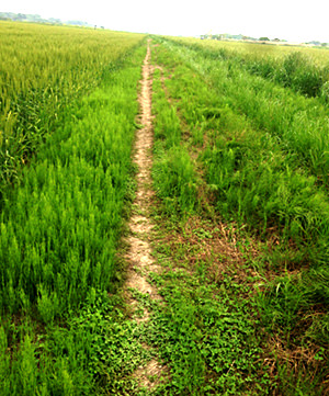 google先生の魔界案内1