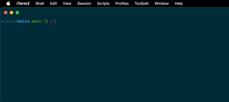 a video of 'vite' command running in a terminal and starting a development server