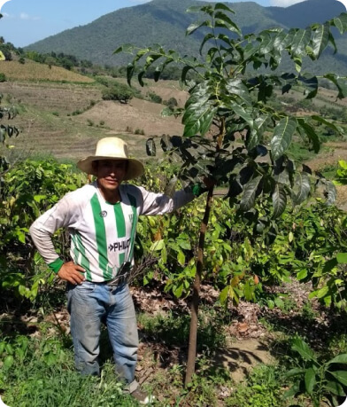 Planting site in Peru