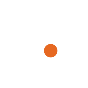 Network Vulnerability Scanner Icon
