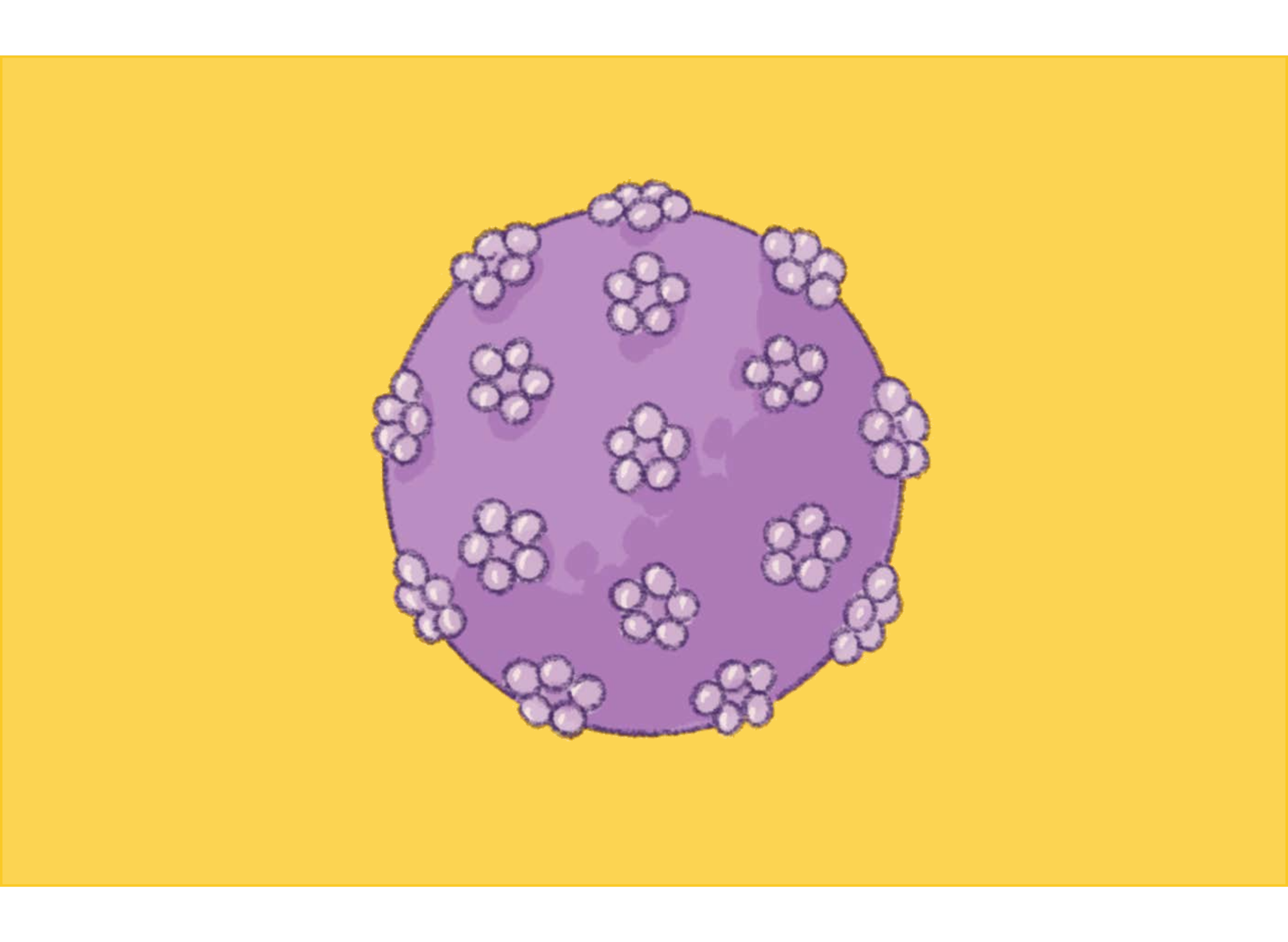 /HPV_size.png