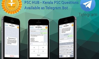PSC HUB is now available as Telegram Bot
