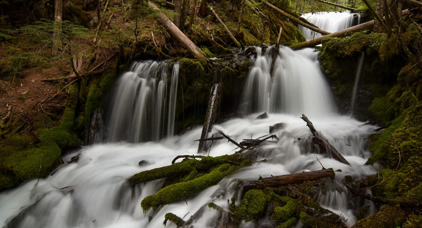 Hidden off-trail waterfall in Washington State’s Gifford Pinchot National Forest