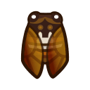 Brown Cicada