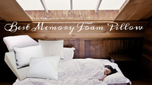best memory foam pillow