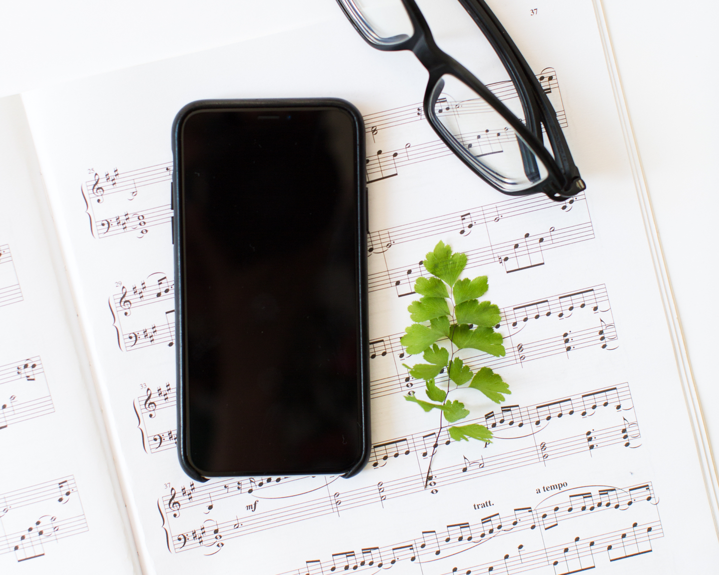 Jack Watkins sheet music, glasses and plants
