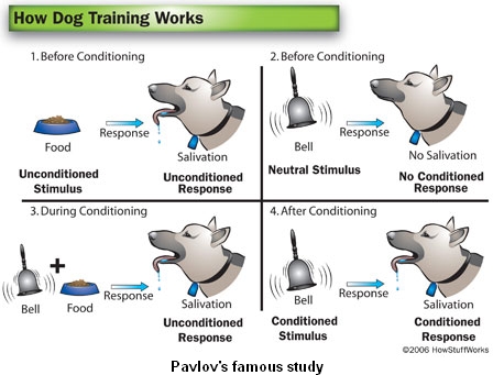 How Dog Training Works