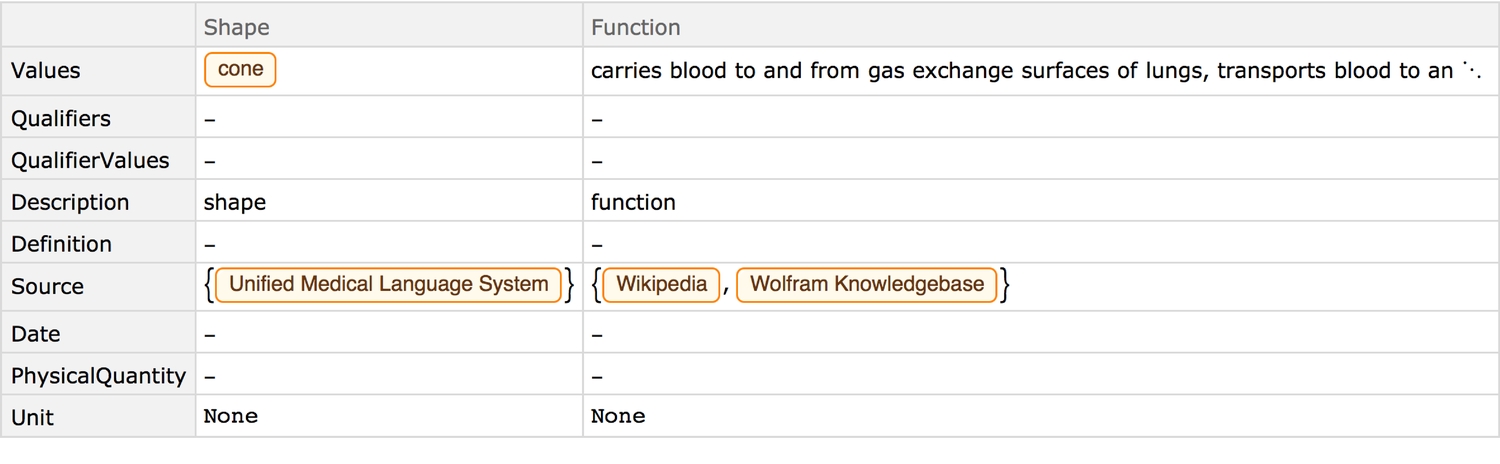 anatomy 5