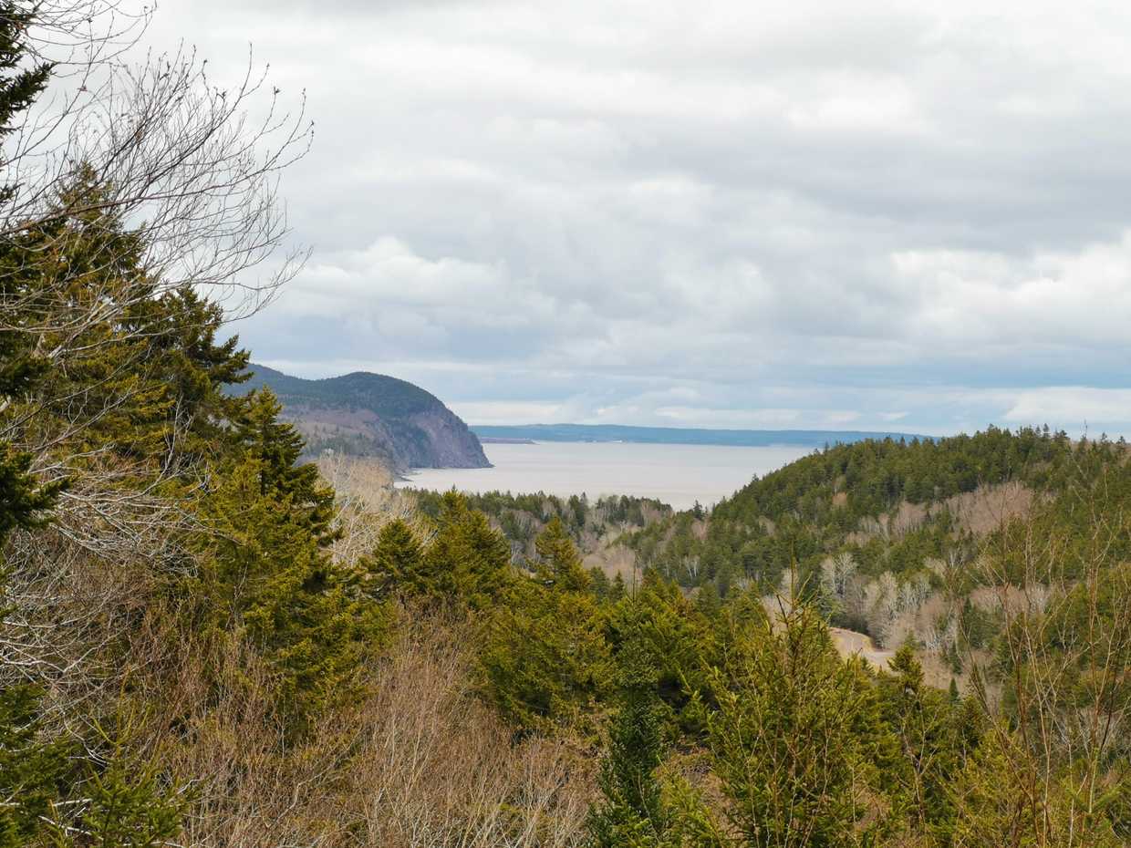 La baie de Fundy : ses marées, son parc national et sa pluie cover image