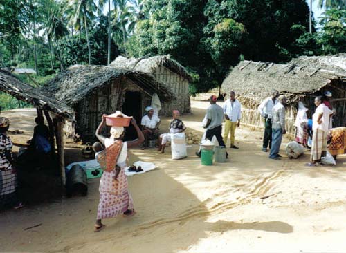 Mozambique village 4