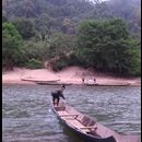 Laos Jungle 15
