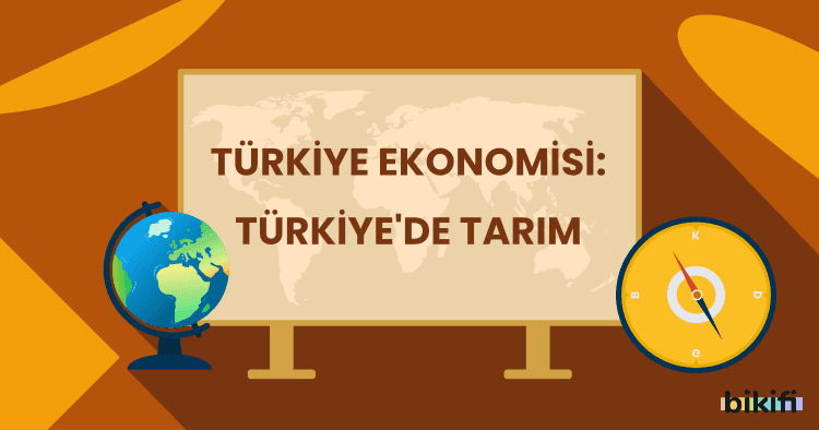Türkiye Ekonomisi: Türkiye’de Tarım