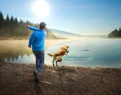 One Dog's List of What to Bring to the Beach