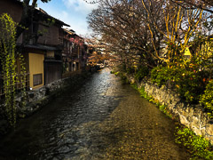 Kyoto, Japan

(photo by Ayla – I wish I had taken this one!)