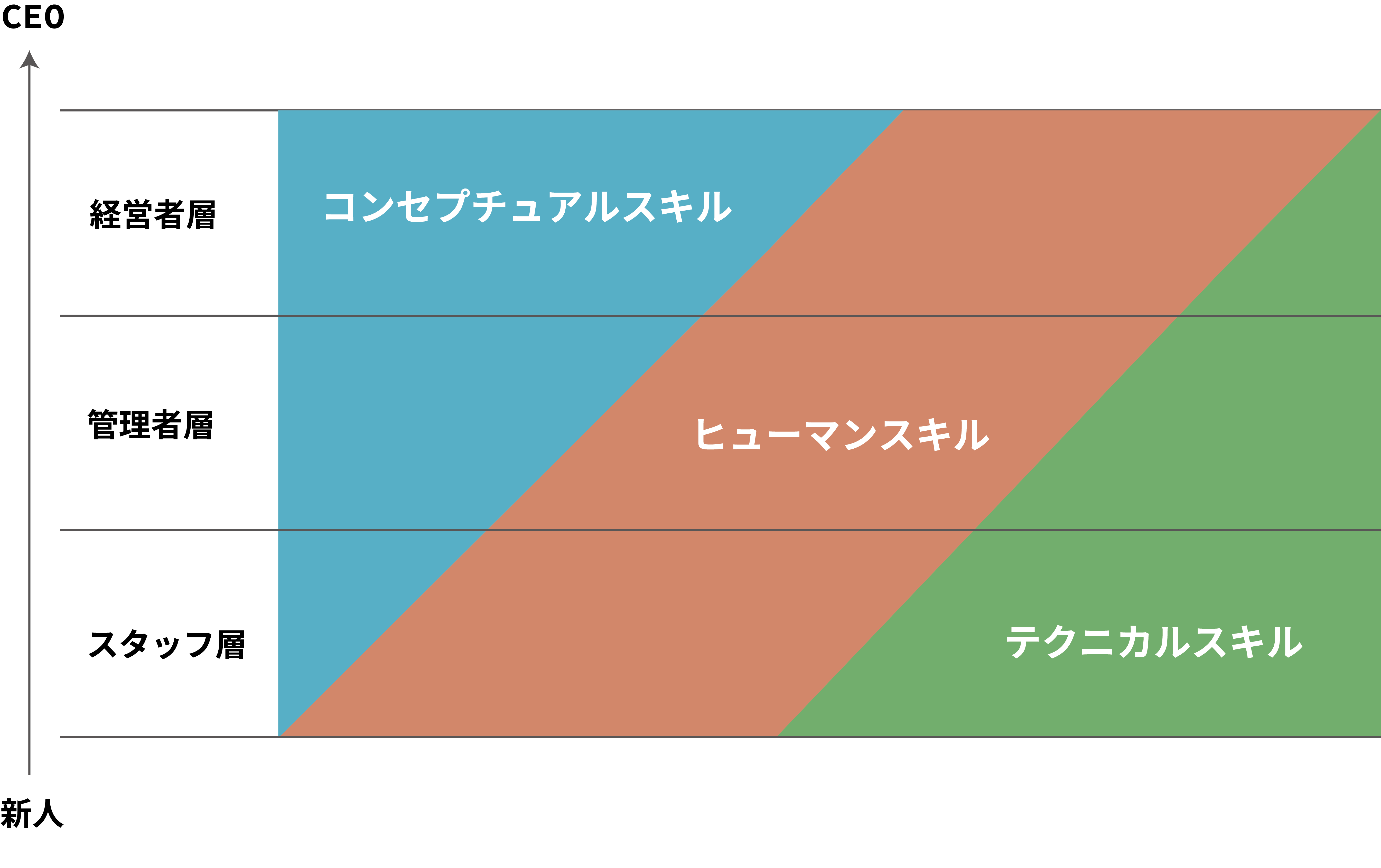 ビジネススキルとは 本当に学ぶべき種類と取得方法 ビズデジコラム