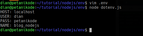 Dotenv nodejs program