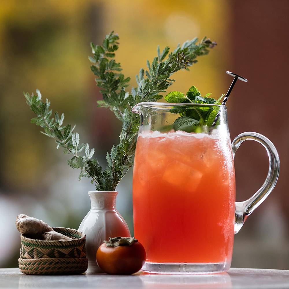 Persimmon Mule