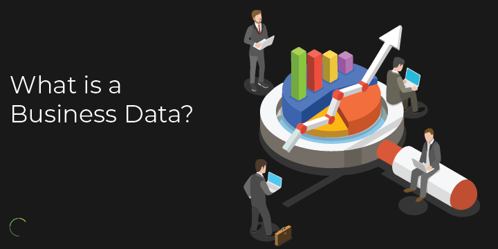 what is a business data?