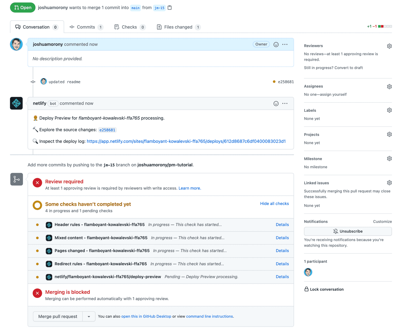 Review required and status checks in Github
