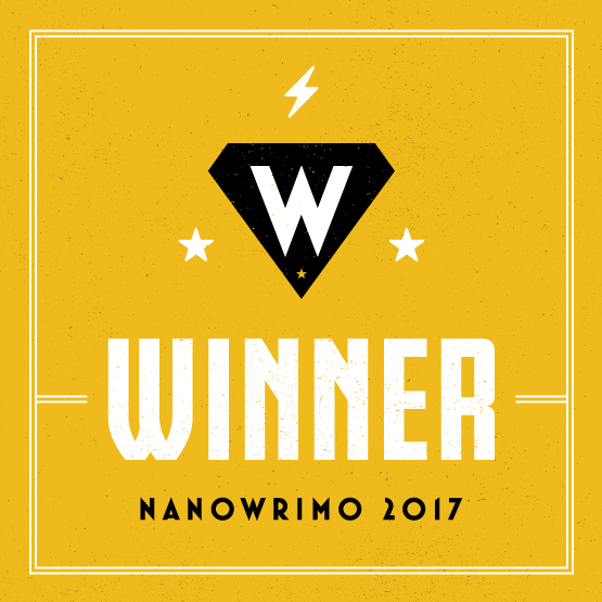 Nanowrimo 2017 and beyond