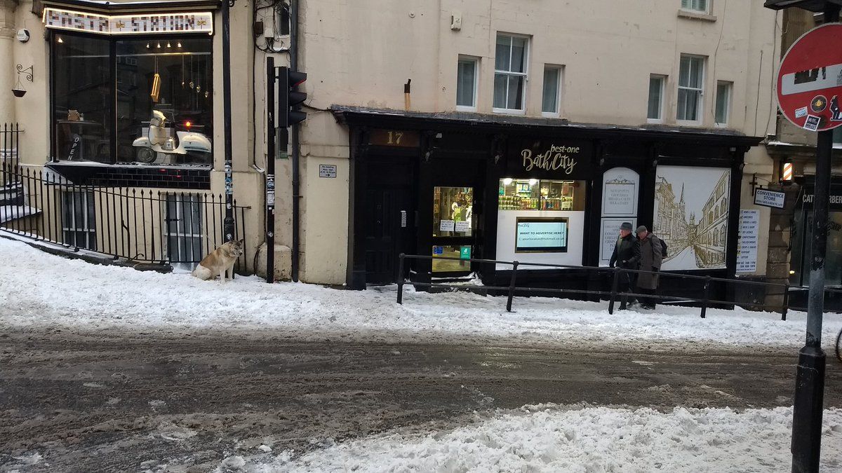 oh my god twitter doesn’t include alt text from images in their API