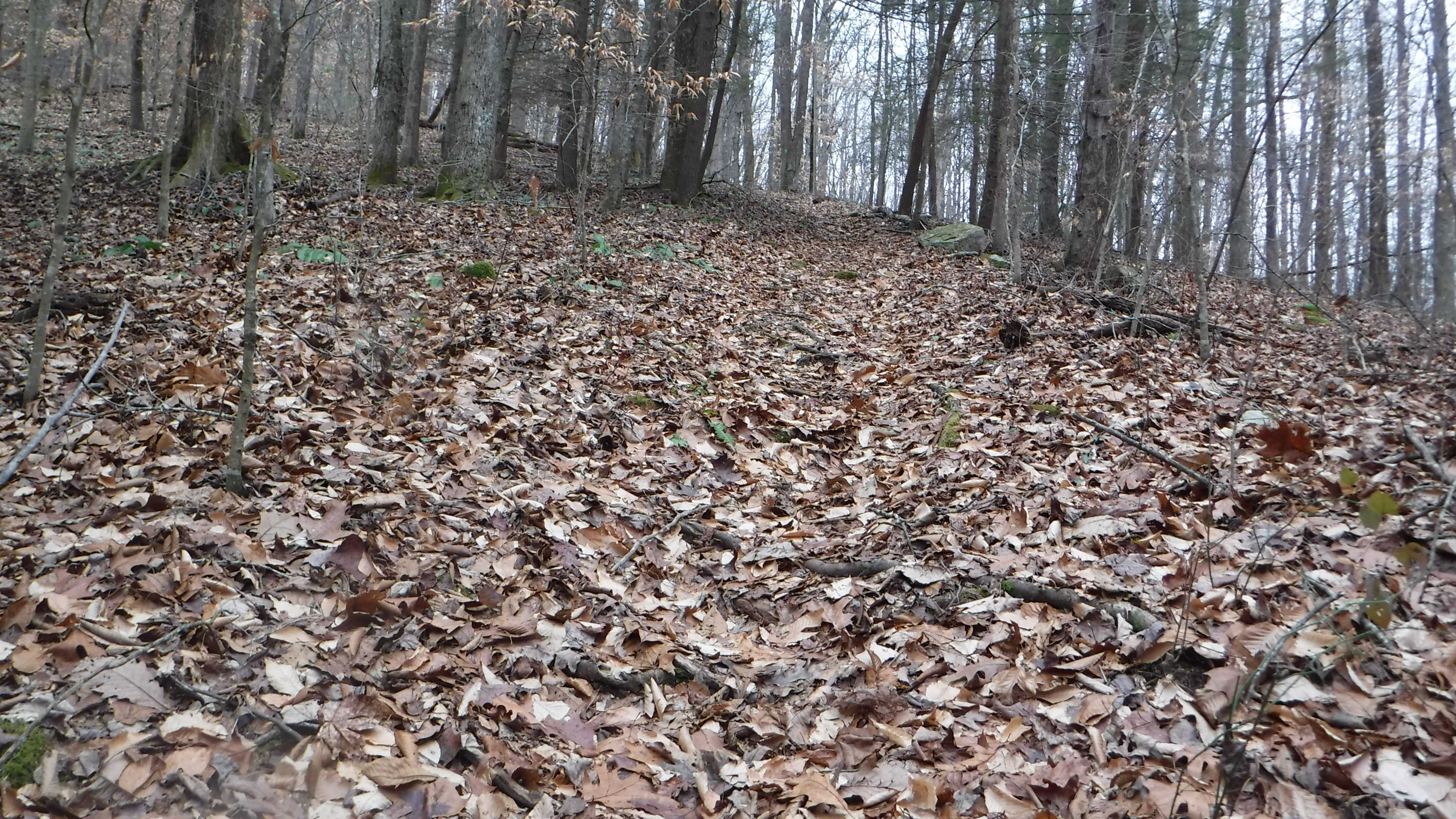 Frozen Head State Park Chimney Top Trail to Spicewood Trail Loop