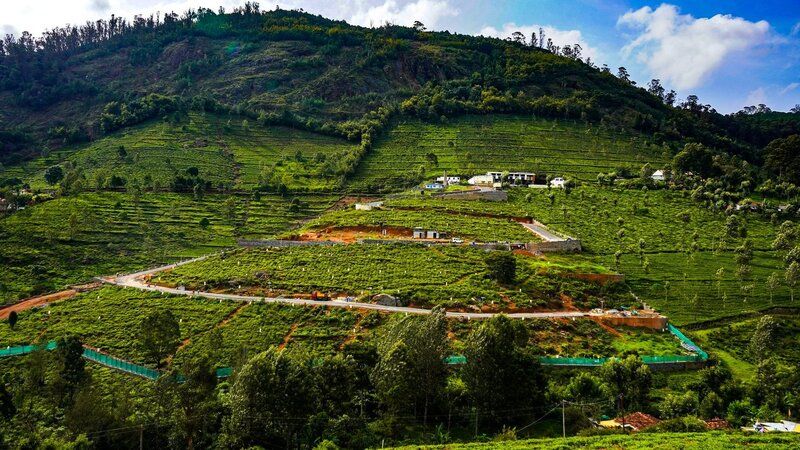 Plots in Hill Valley Enclave