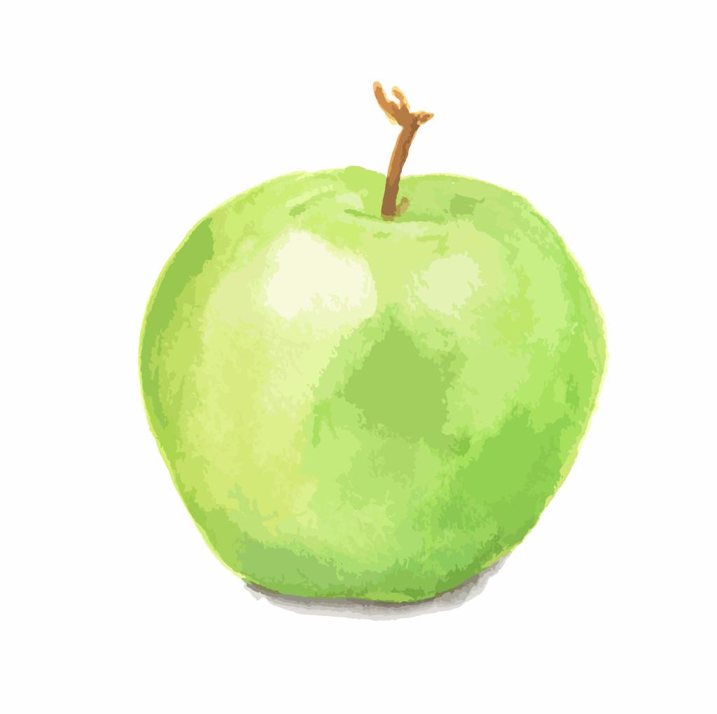 A painted green apple on a white background.