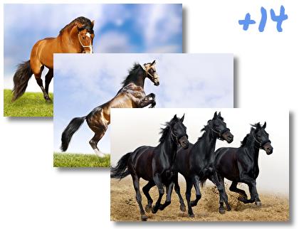 Horse theme pack
