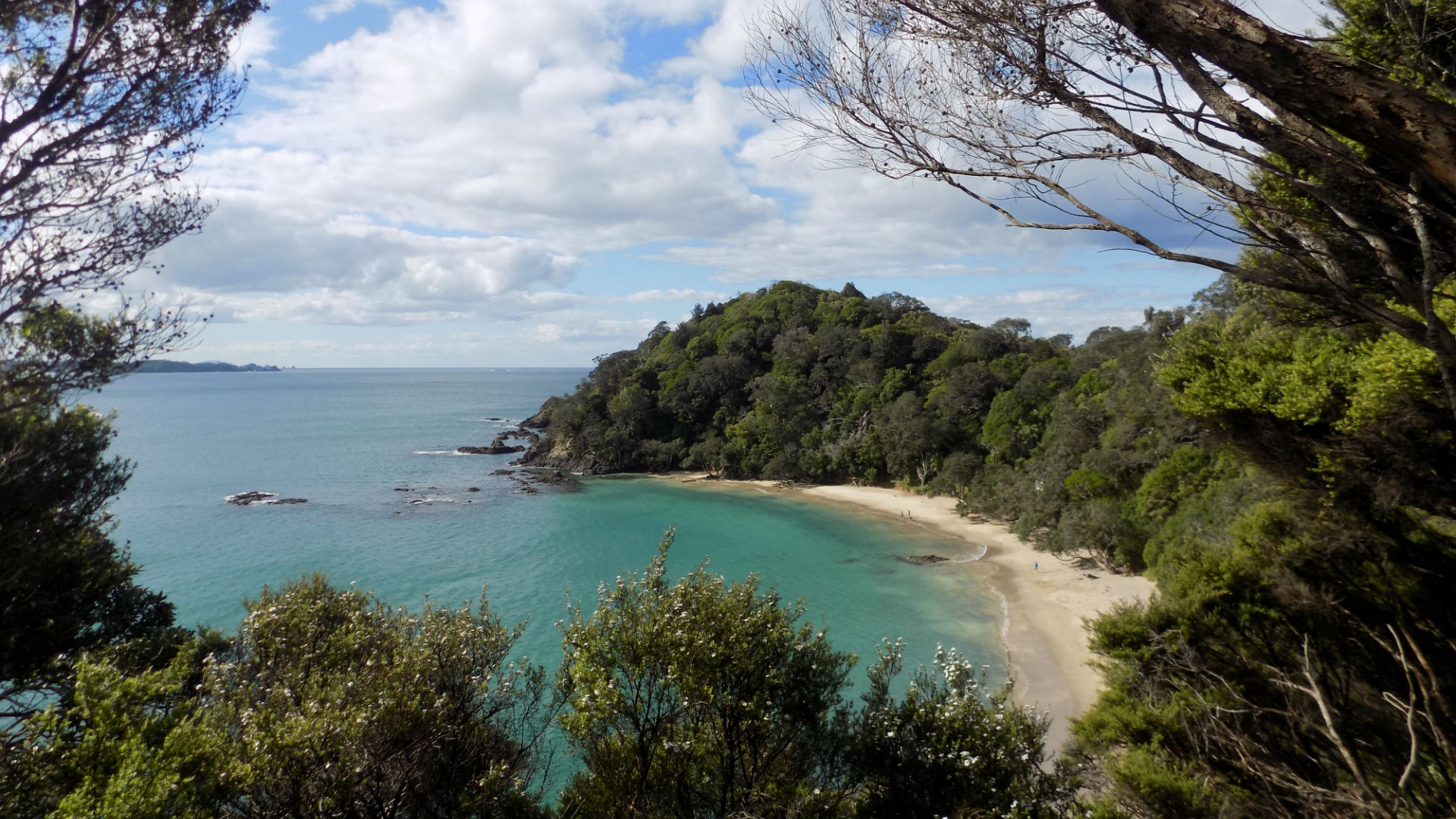 Beach through the Trees