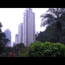 Hongkong Buildings 9