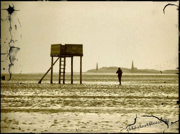 oh my god twitter doesn’t include alt text from images in their API