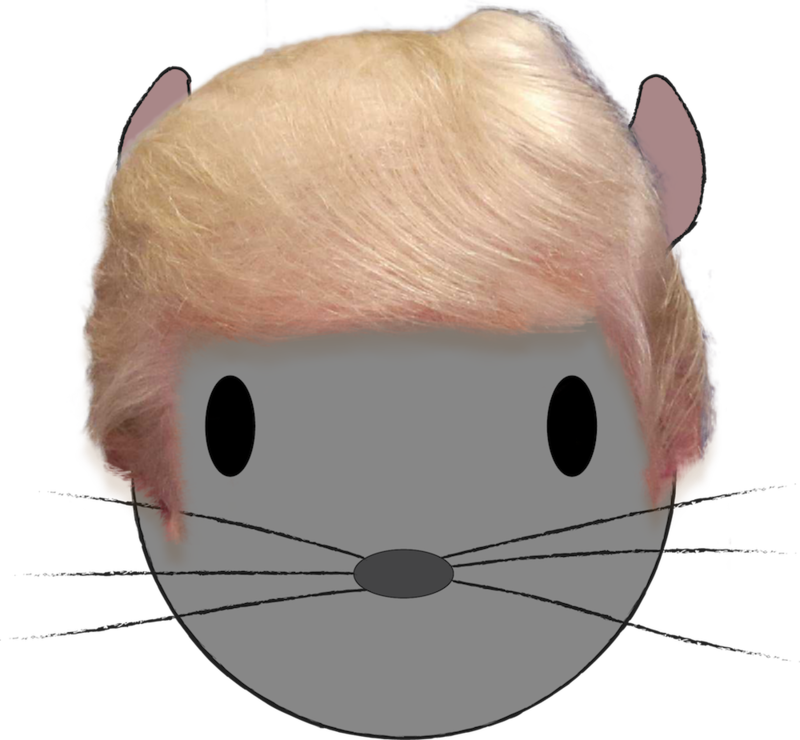 Trump Chinchilla