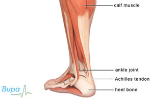 "Plantar