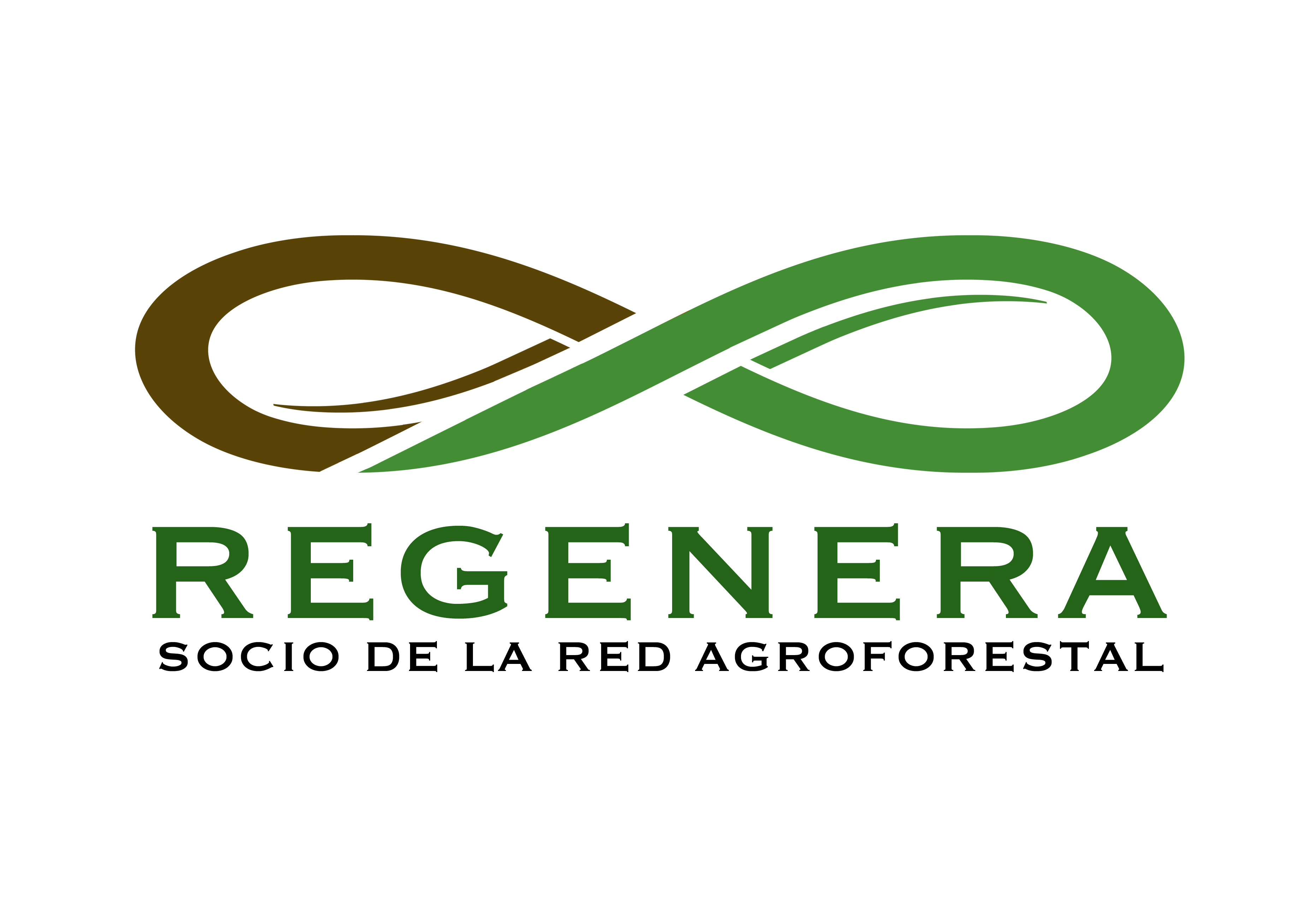 Regenera Startup logo
