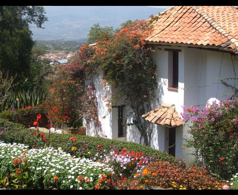 Colombia Villa Flowers 13