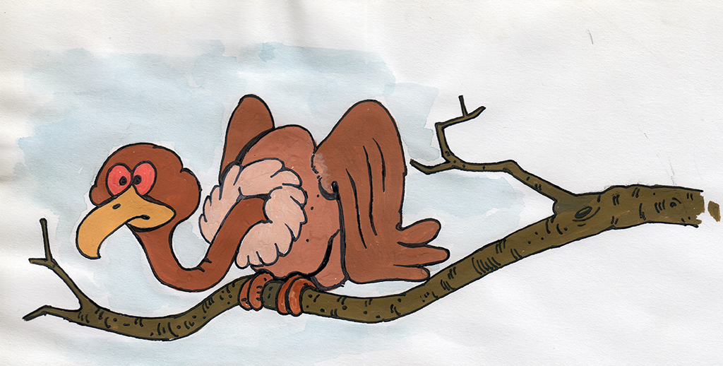 The Jungle Contest