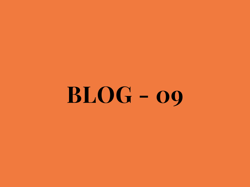 Blog Number 09