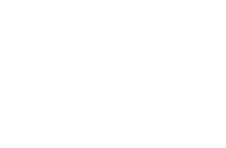 logo-zimmer-reverse