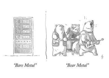 A cartoon-style illustration. To the right, a band of bears rocking out. To the left a, server tower containing Bare Metal racks. The caption reads: Bear metal. Bare metal.