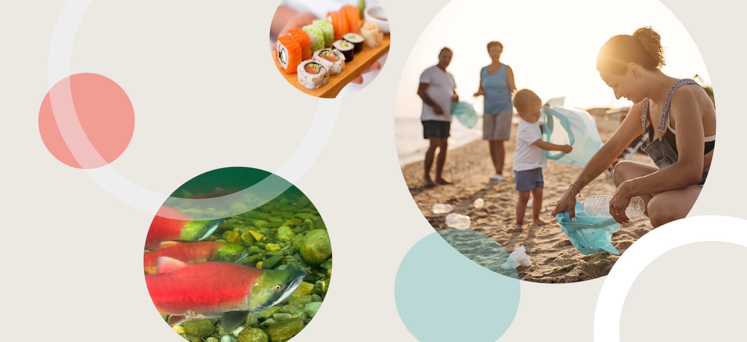 A collage showing a family cleaning up at the beach, a plate of sushi, sockeye salmon spawning