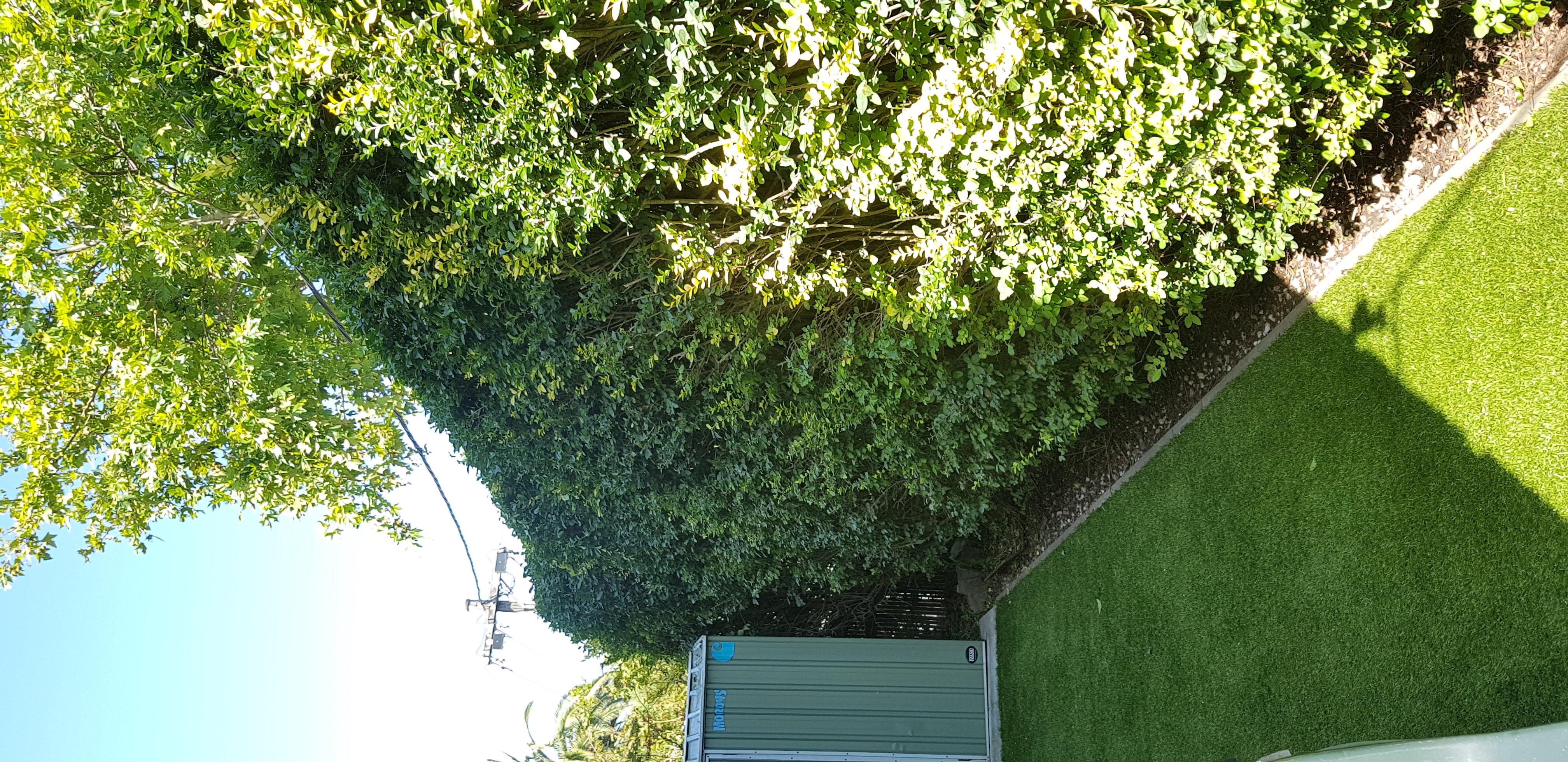 recent landscaping work image 2