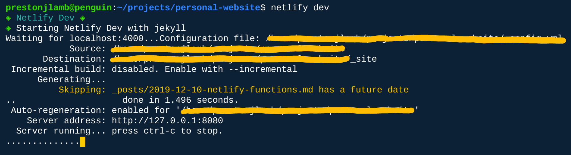 netlify dev command output