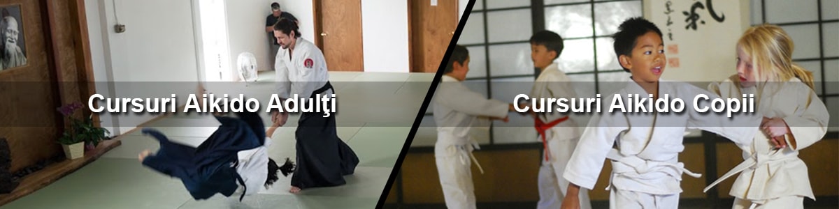 cursuri aikido iasi