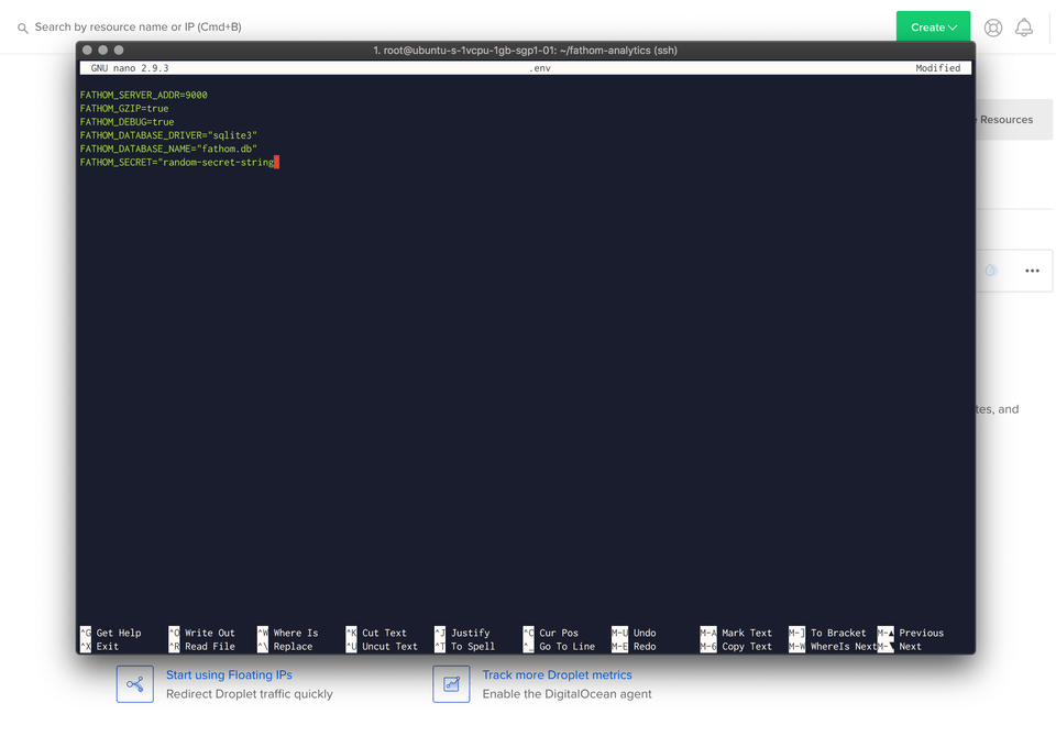 Configure Fathom editing the fathom config in nano